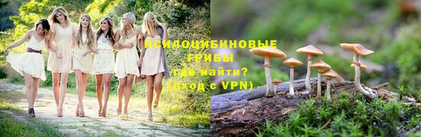 гидра Балахна