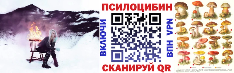 OMG зеркало  Богородск  Псилоцибиновые грибы Psilocybine cubensis 